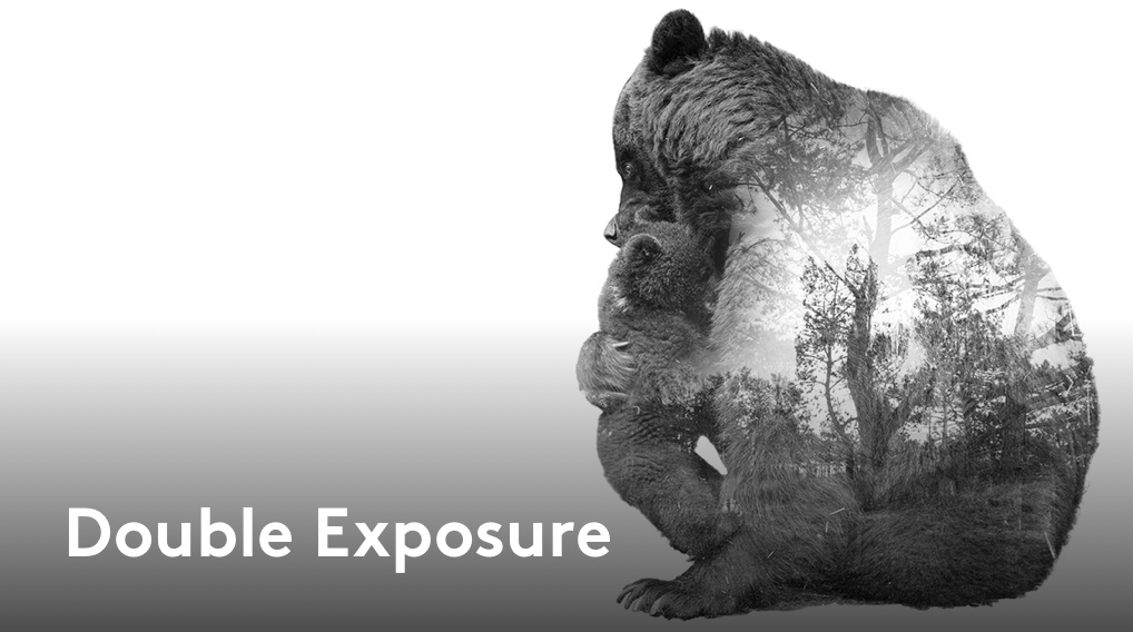 Double Exposure