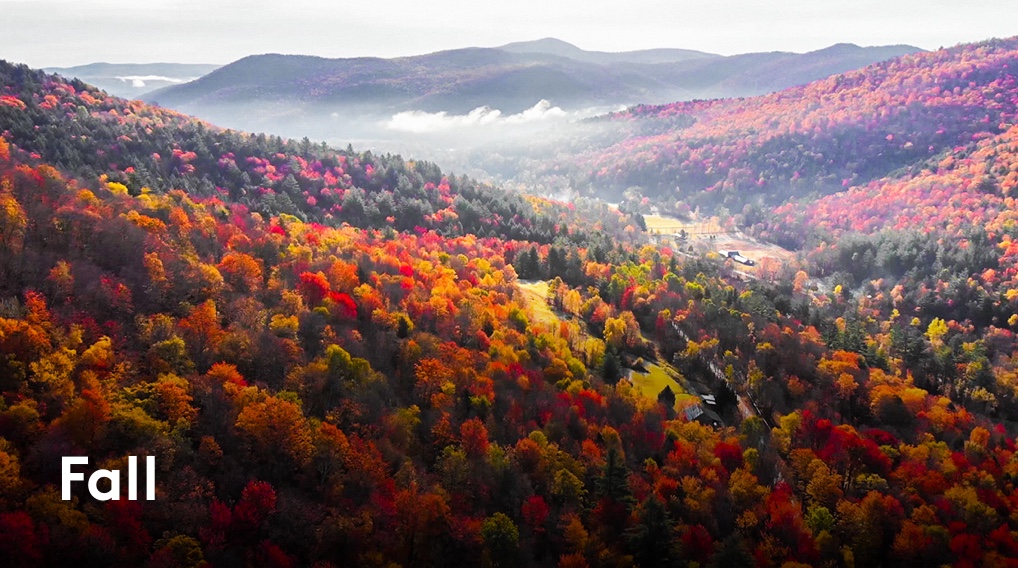 Fall