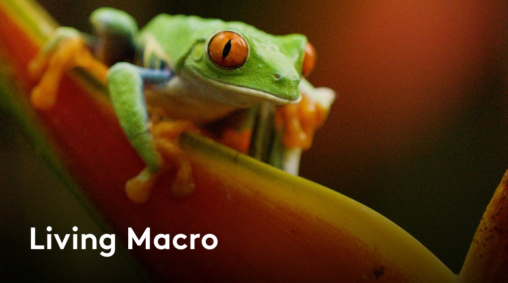 Living Macro