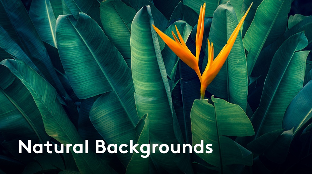 Natural Backgrounds