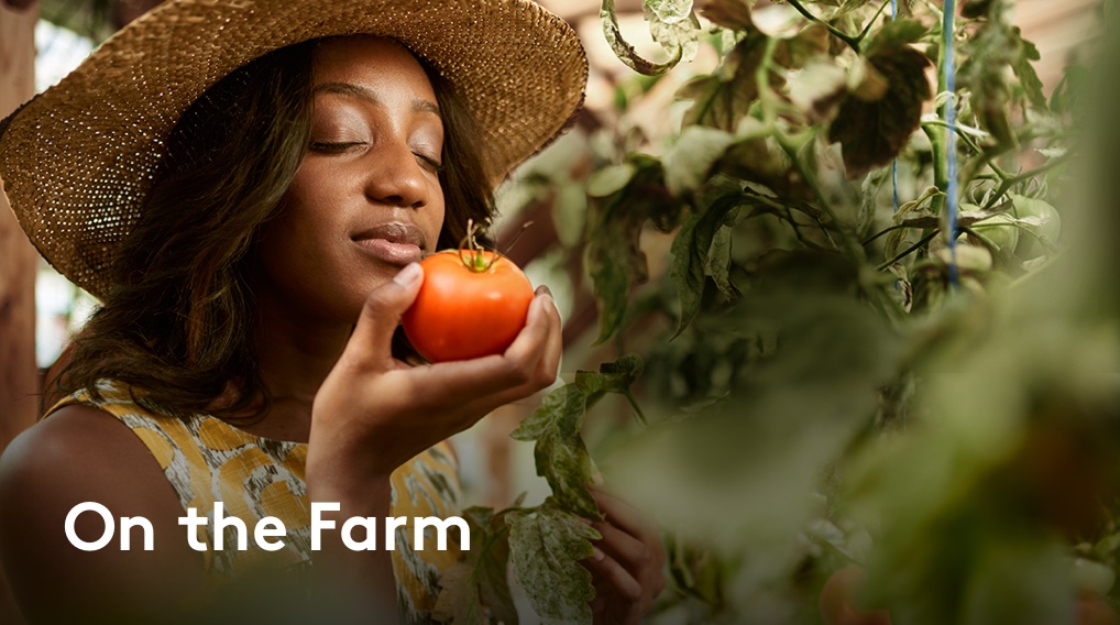 On the Farm