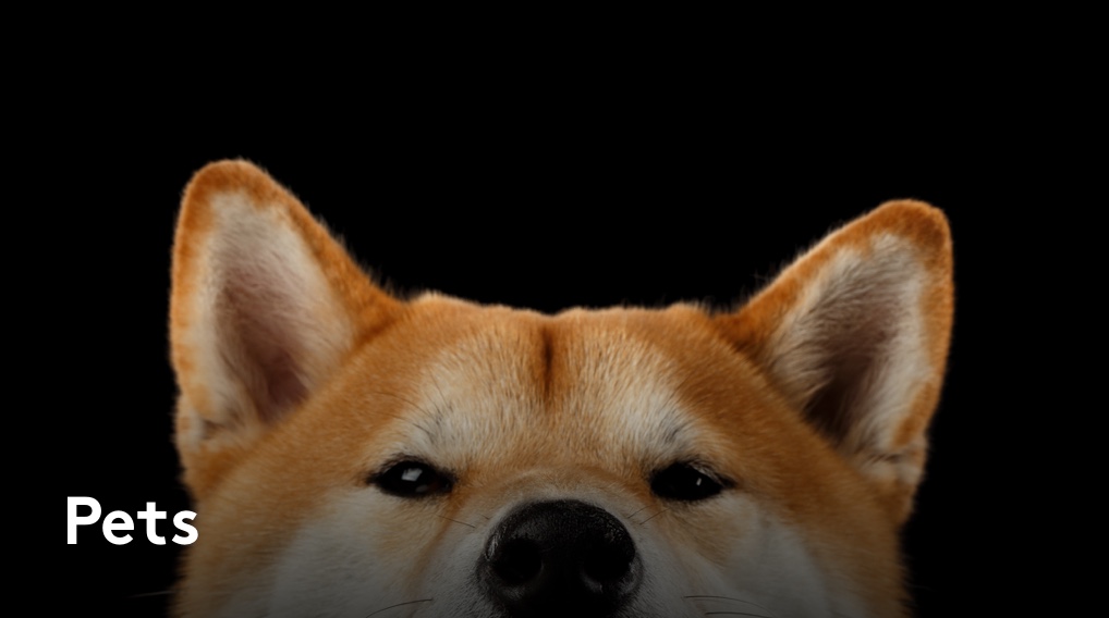 Pets