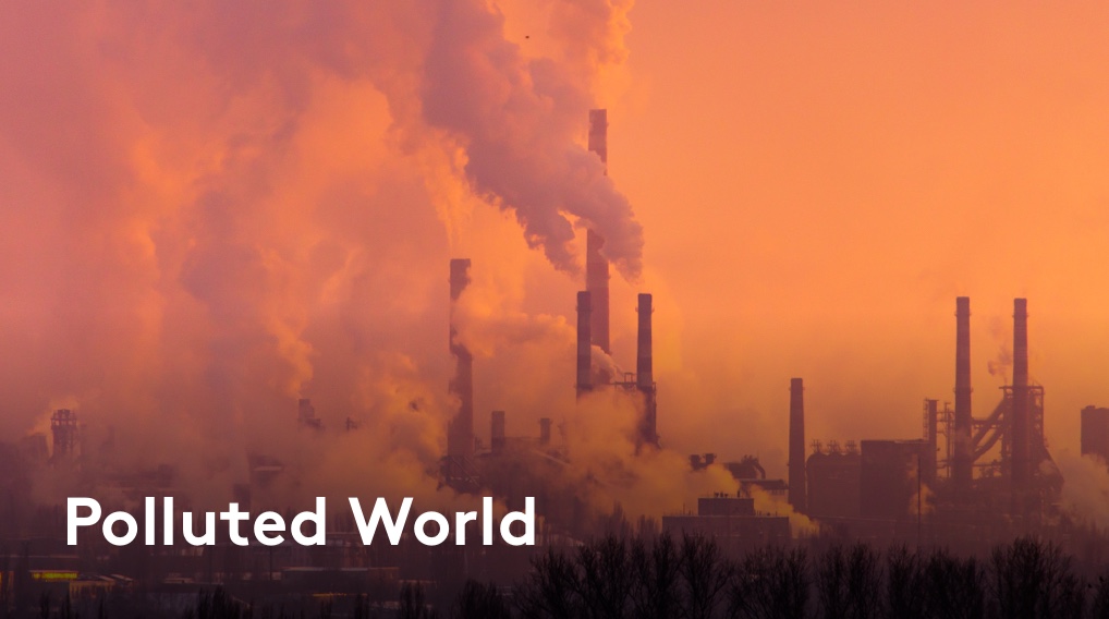 Polluted World