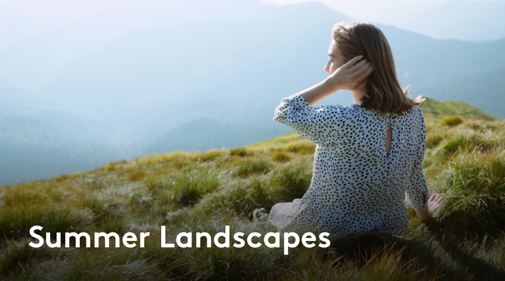Summer Landscapes