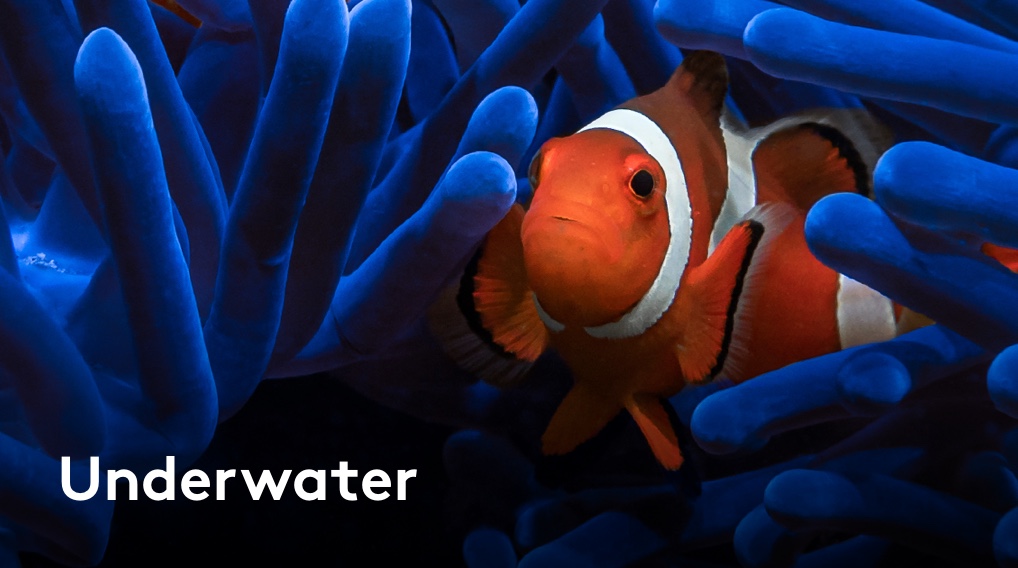 Underwater